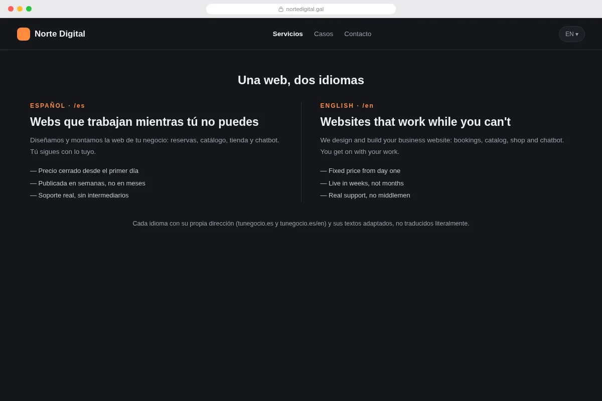 Versión oscura — la misma web, dos idiomas.