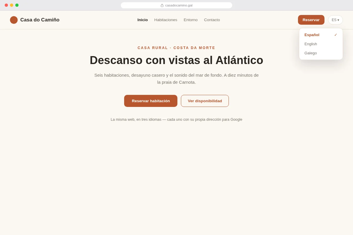 Versión alternativa — la web en tonos cálidos.